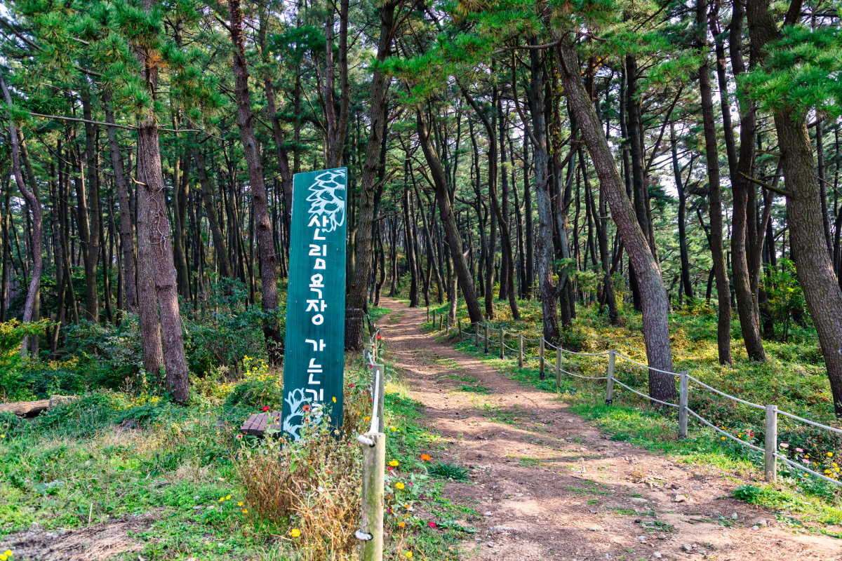 승봉도산림욕장