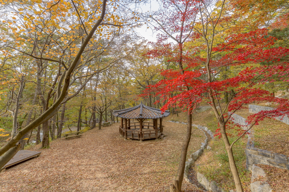 마니산 치유의 숲