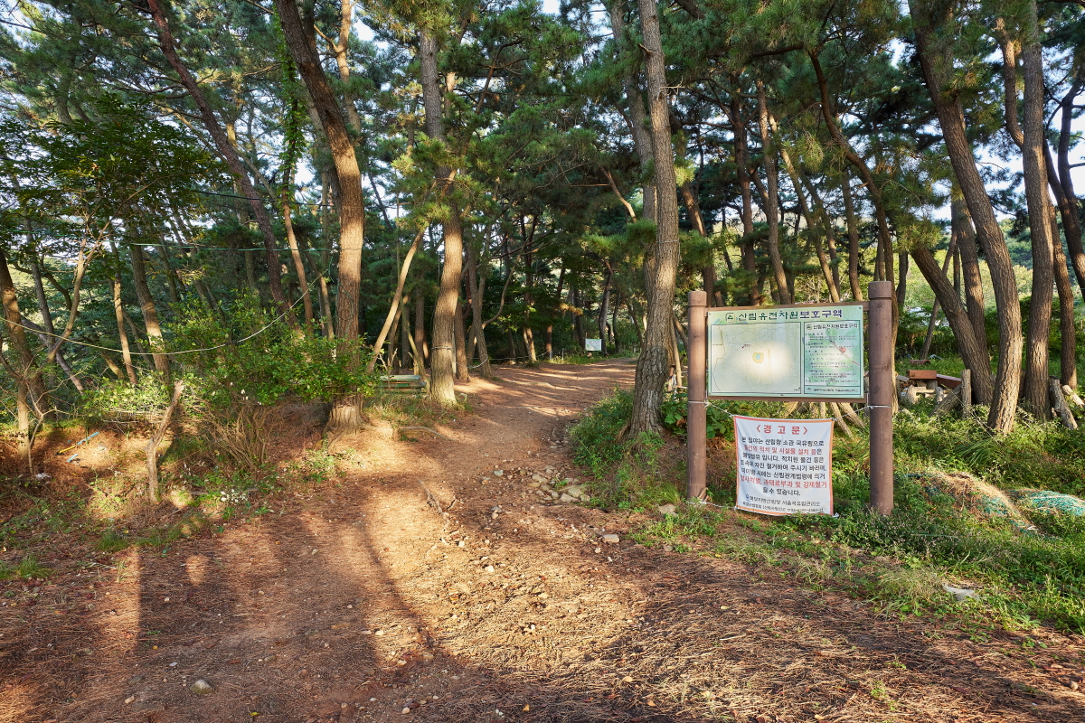 호룡곡산 산림욕장